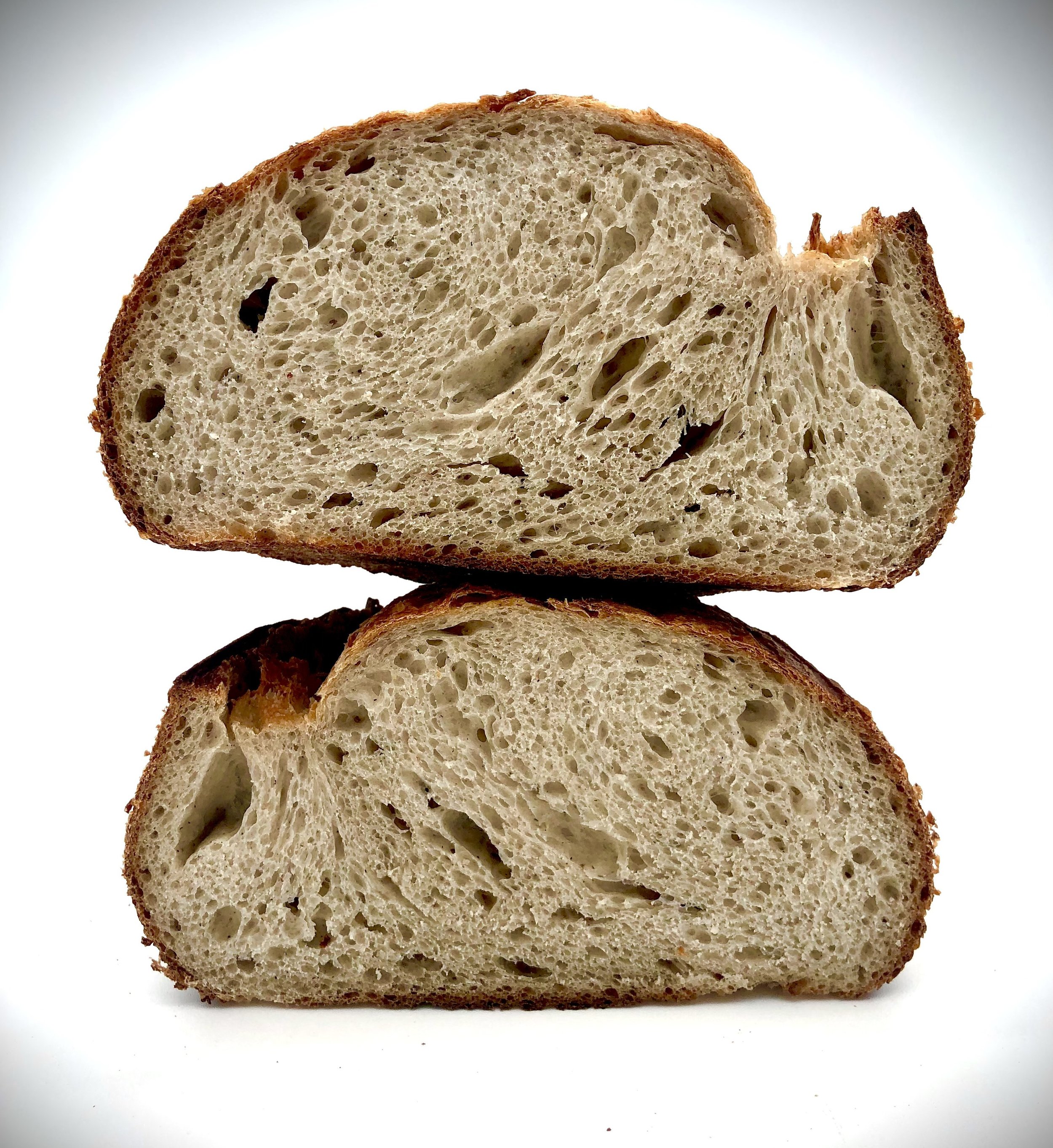 Wheat Steak Logo Photo.jpg