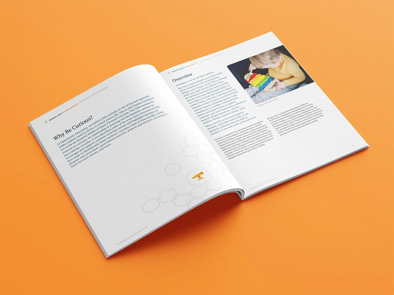 Research Brief Design for Education Nonprofit