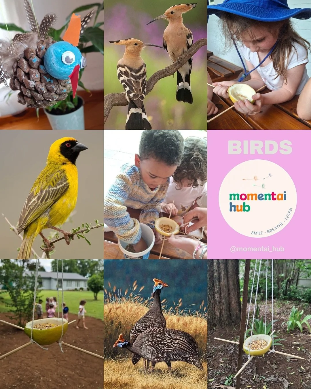 🦜Birds🦜

For our theme of birds, we worked together to build a bird and spoke about the different parts of the bird. 

We made our own bird feeder and put it in our beautiful garden.

The highlight of the week was making guinefowls out of pinecone 