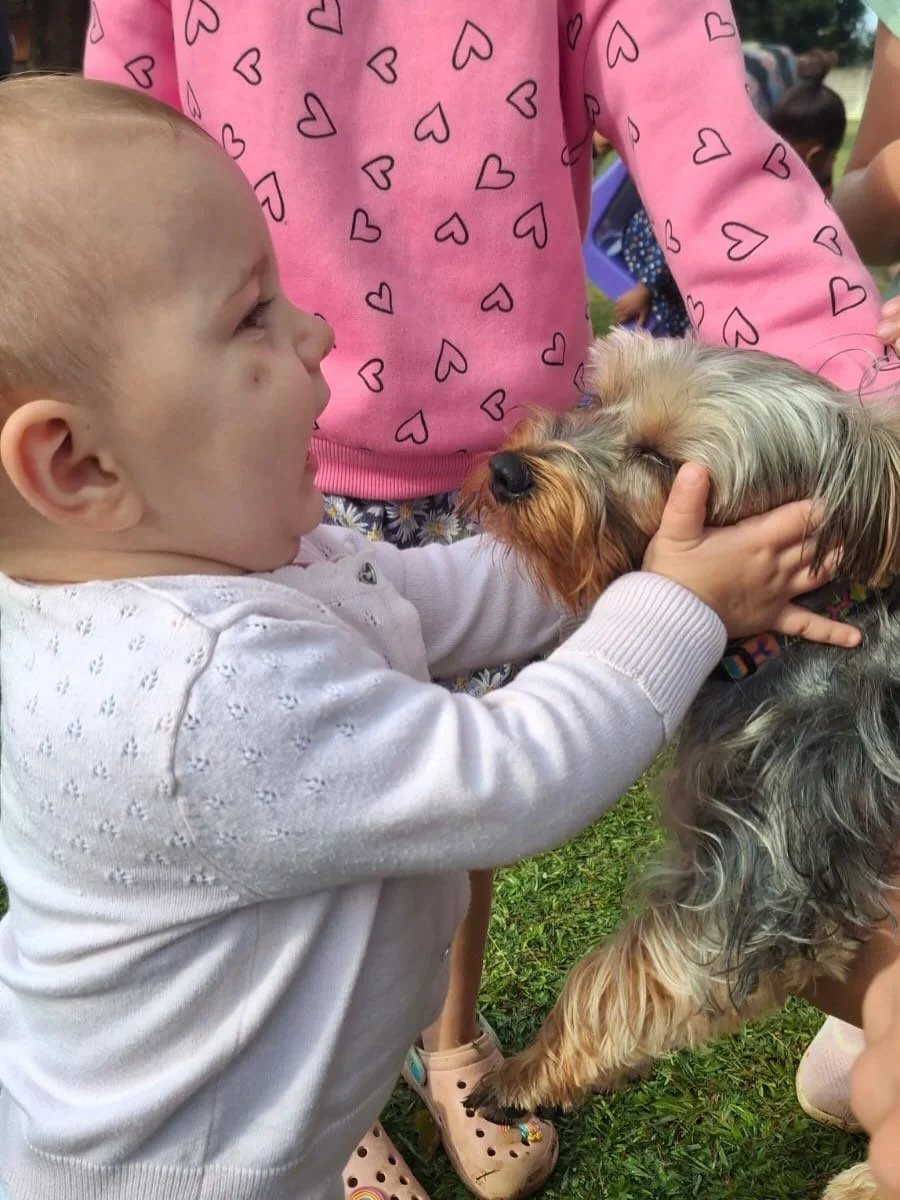 As part of our Pets theme this week, Daisy came to visit!

The faces tell all!