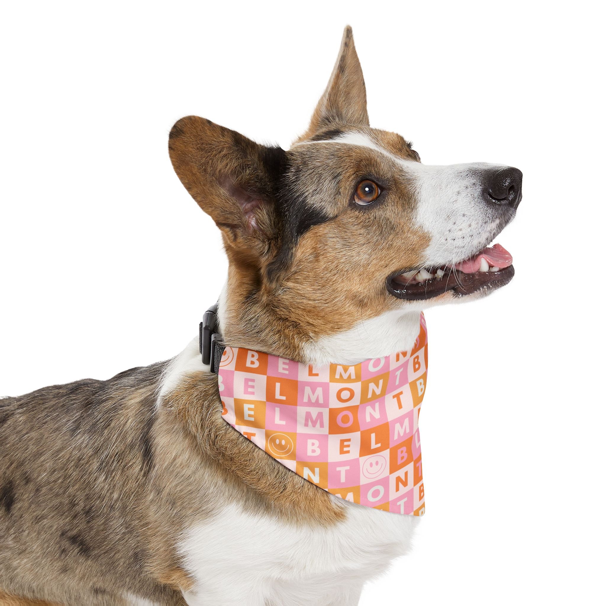 Belmont Y2K Smiley Checkerboard Bandana Dog Collar w/ Buckle