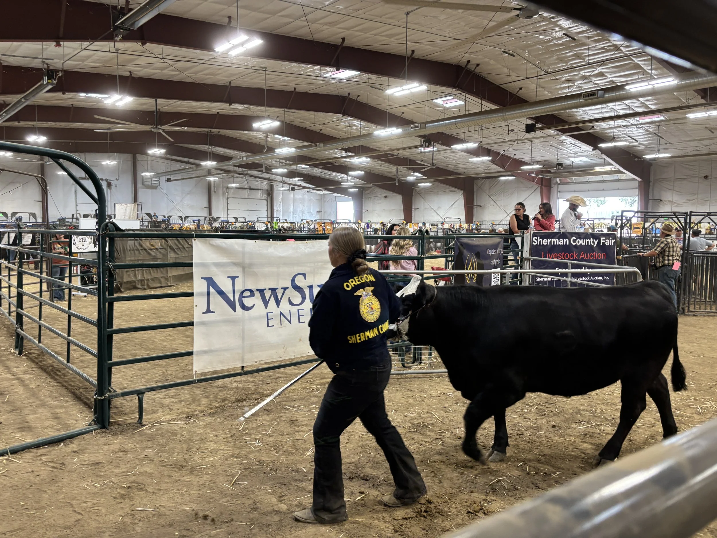 Sherman Banner with Steer.jpg