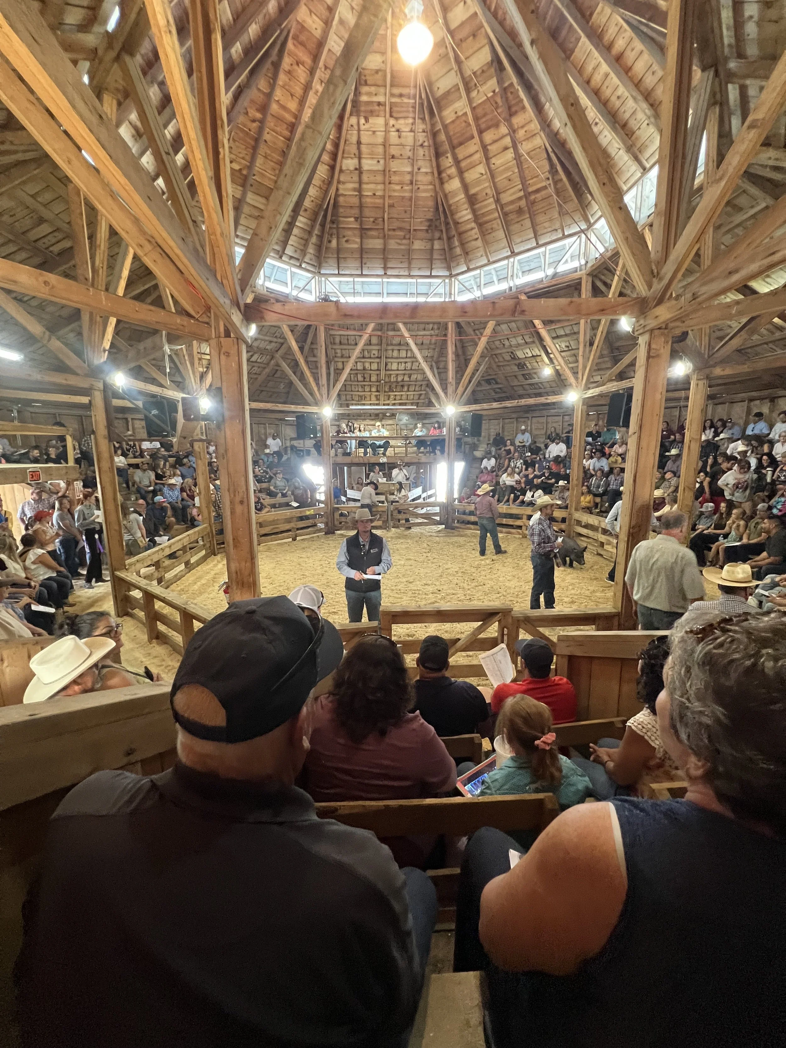 Lake Auction Ring.jpeg