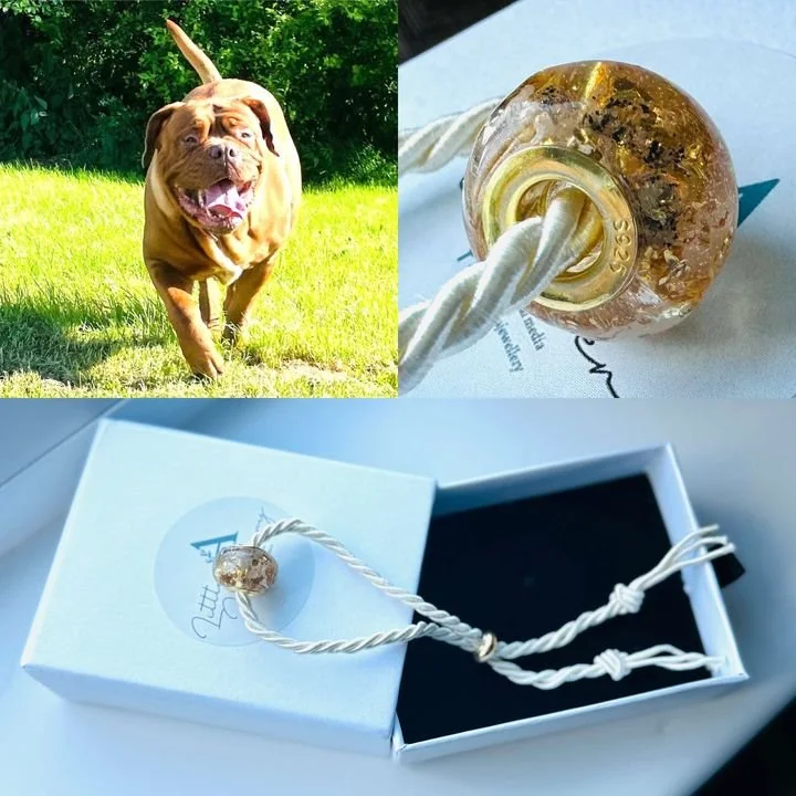 An orange-brown dog running on a green grassy field with trees in the background. A glass bead pendant with a white cord is shown close-up and inside a white gift box with a black interior.