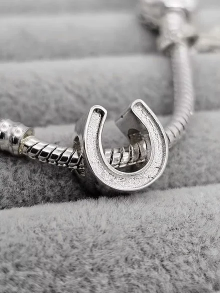 Horseshoe Charm