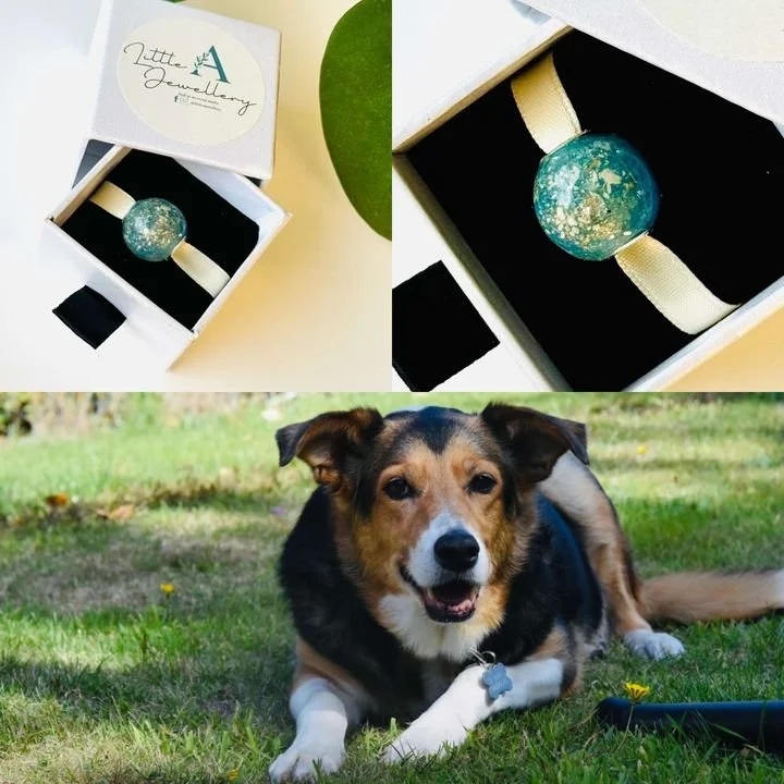 A box containing a round, blue-green marble with gold speckles and a white ribbon inside. A happy dog lying on grass outdoors with a blue dog tag, surrounded by small yellow flowers.