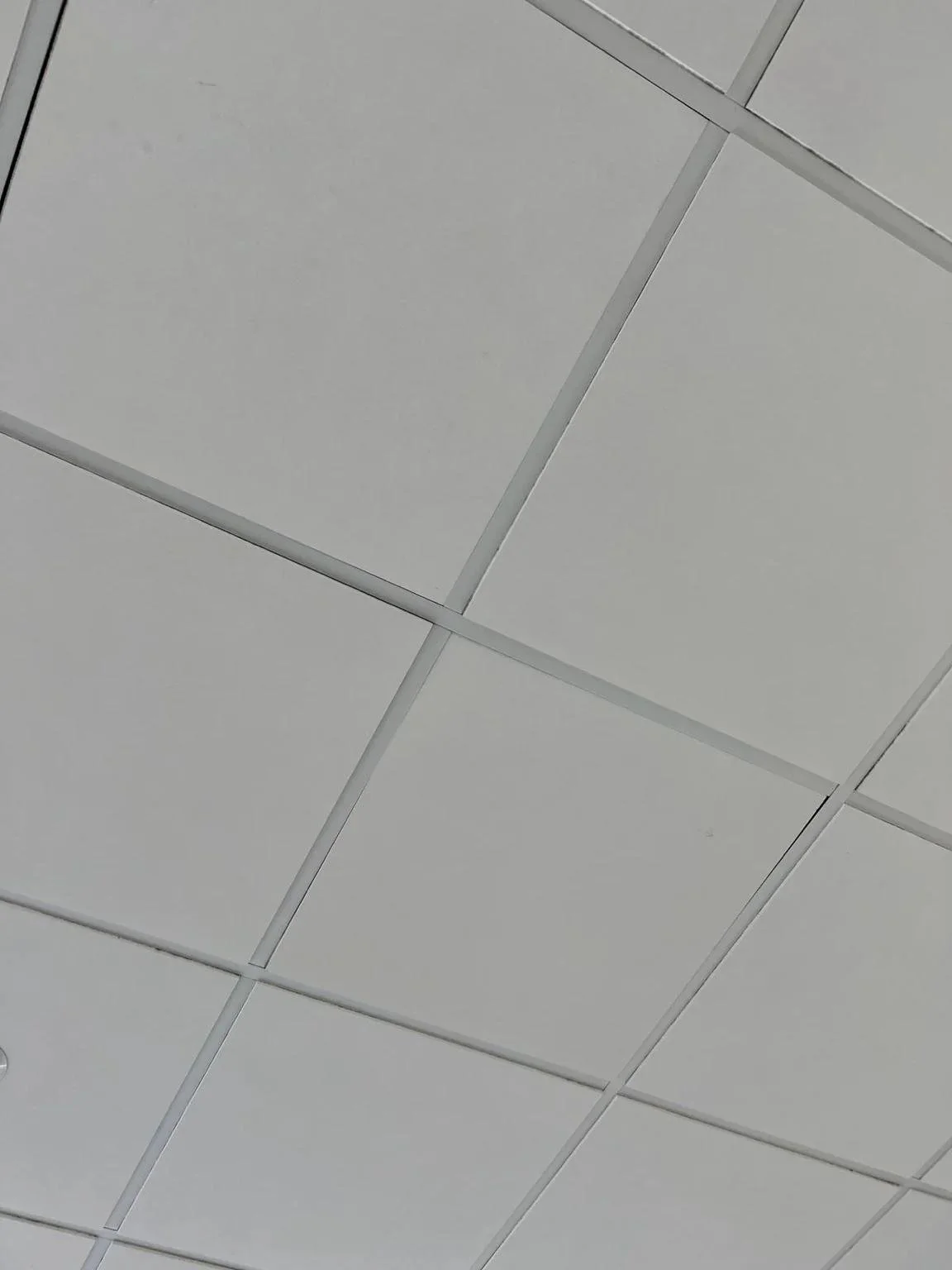 faux plafond (2).jpeg
