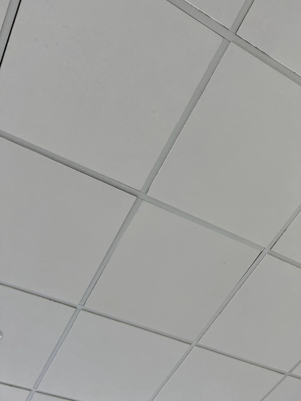 Plafond avec des carreaux blancs et des joints gris.