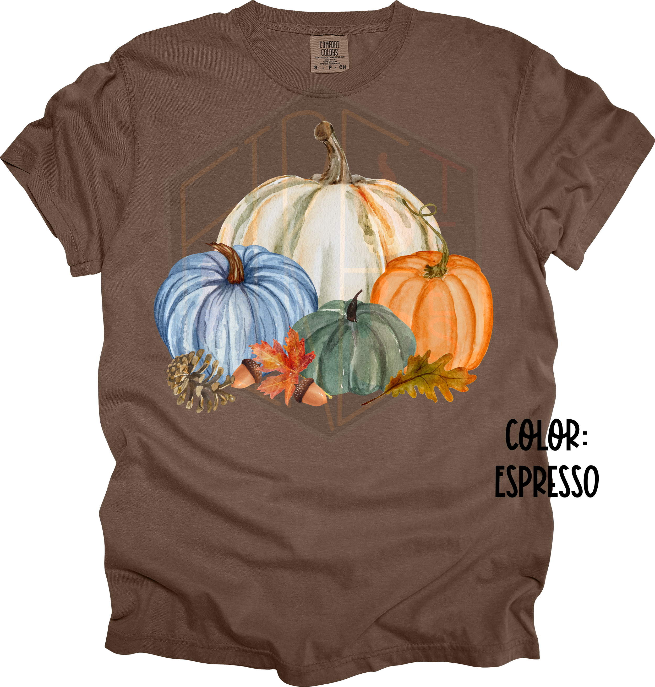 Pumpkins 2 Comfort Color T-Shirt