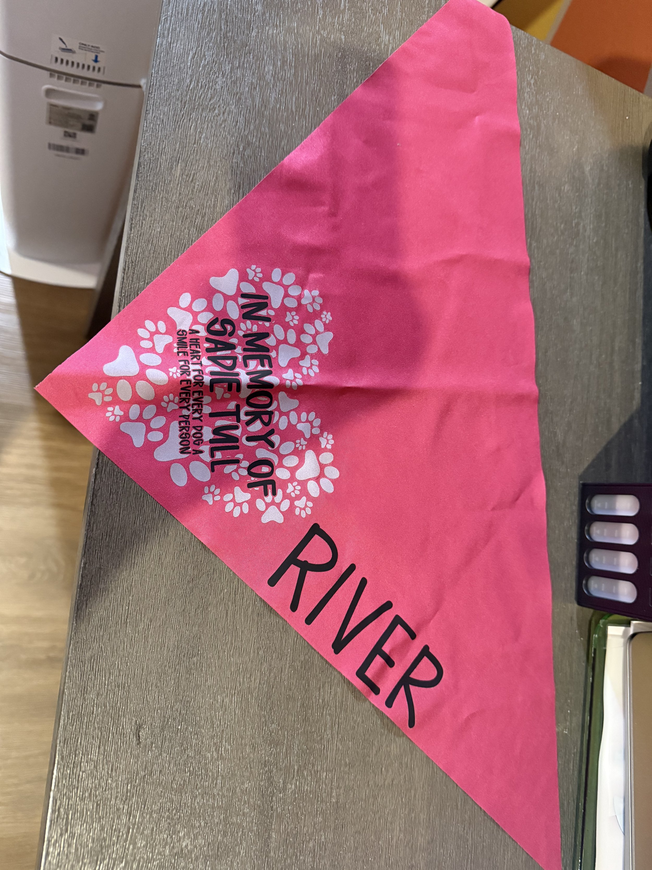 Sadies Pups Dog Bandanas