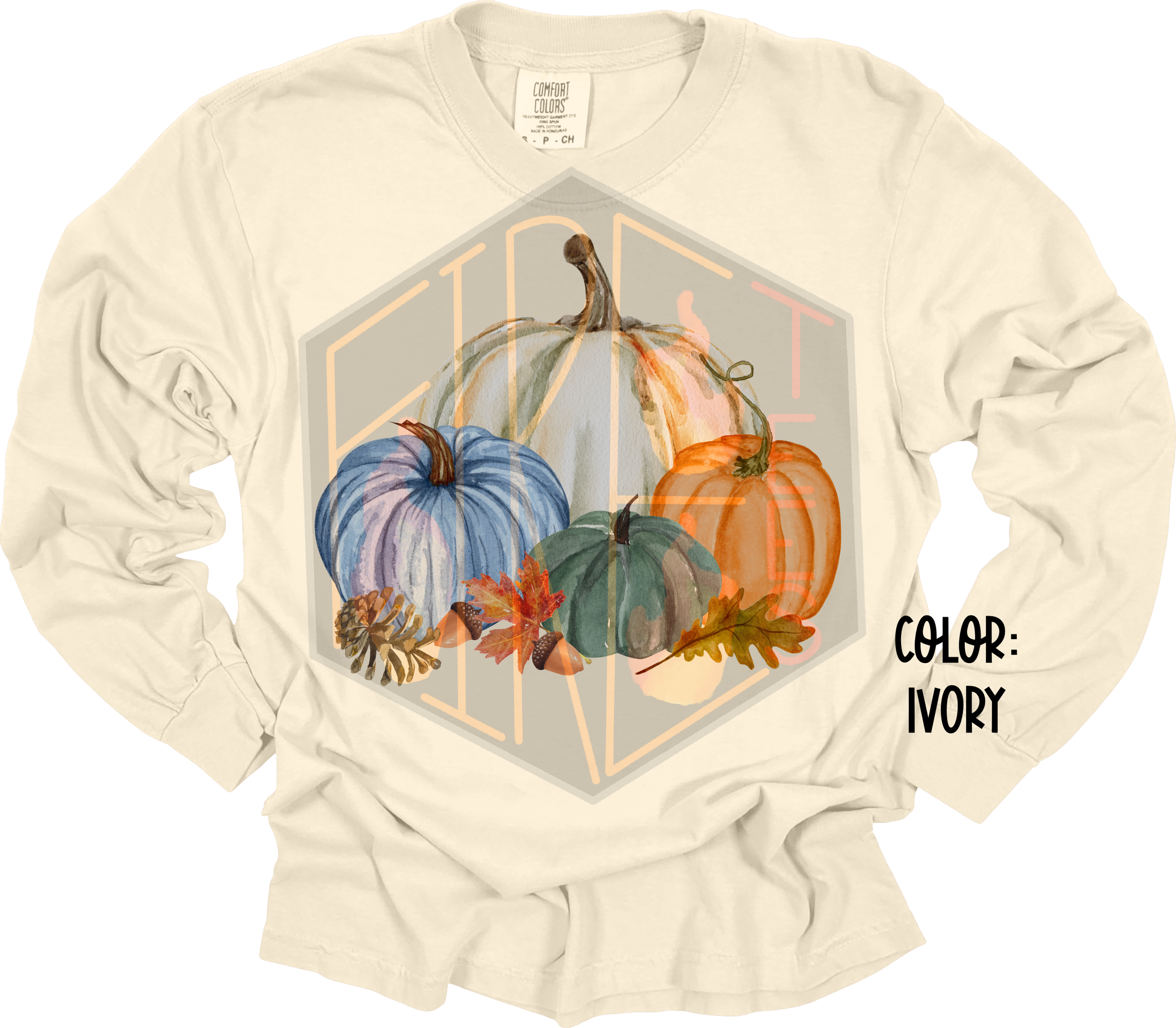 Pumpkins 2 Comfort Color Longsleeve