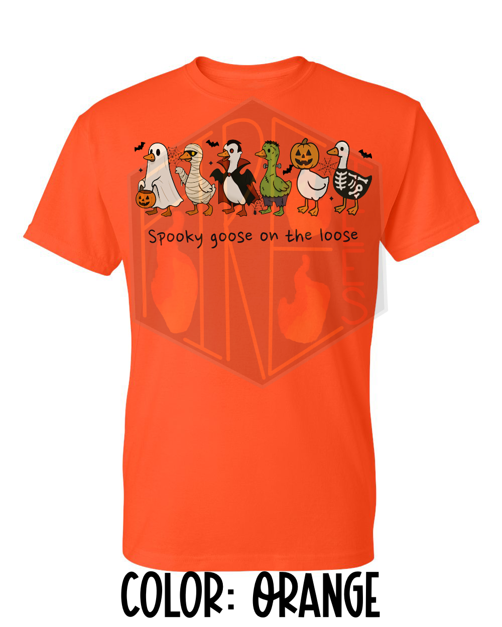 IMG_2702.png
