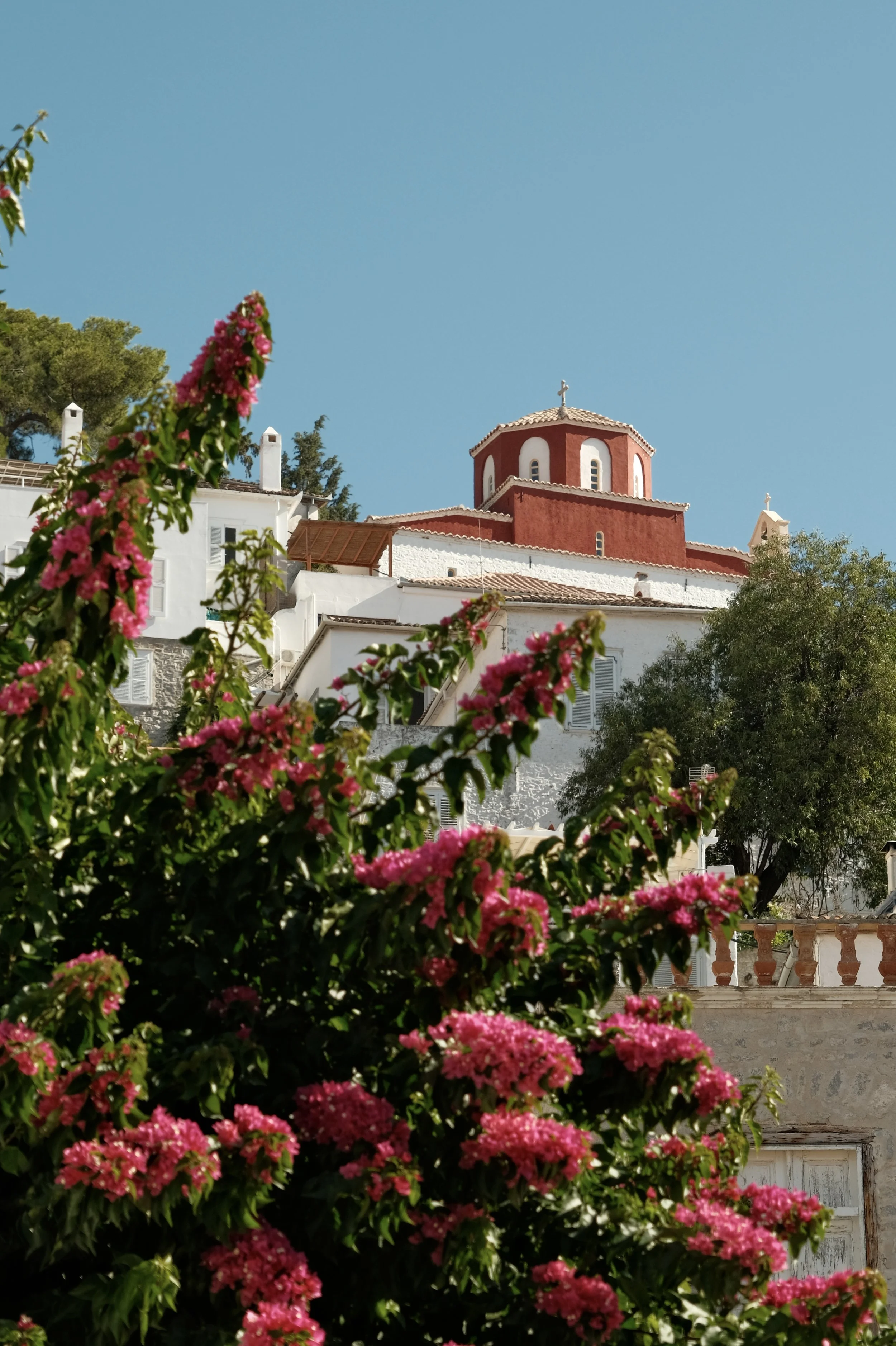 DSCF1630.JPG