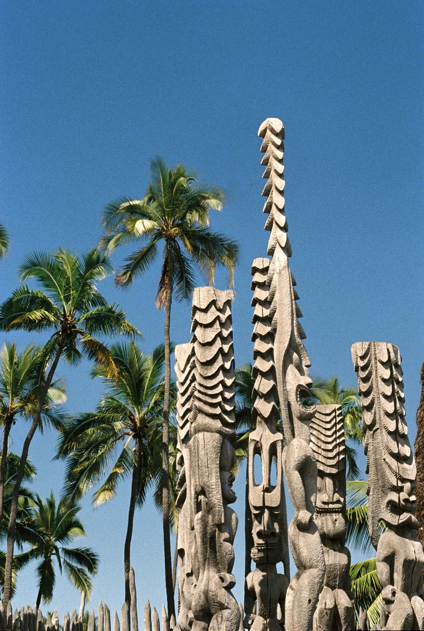 roll1_131934ac002824-r1-018 2.jpg