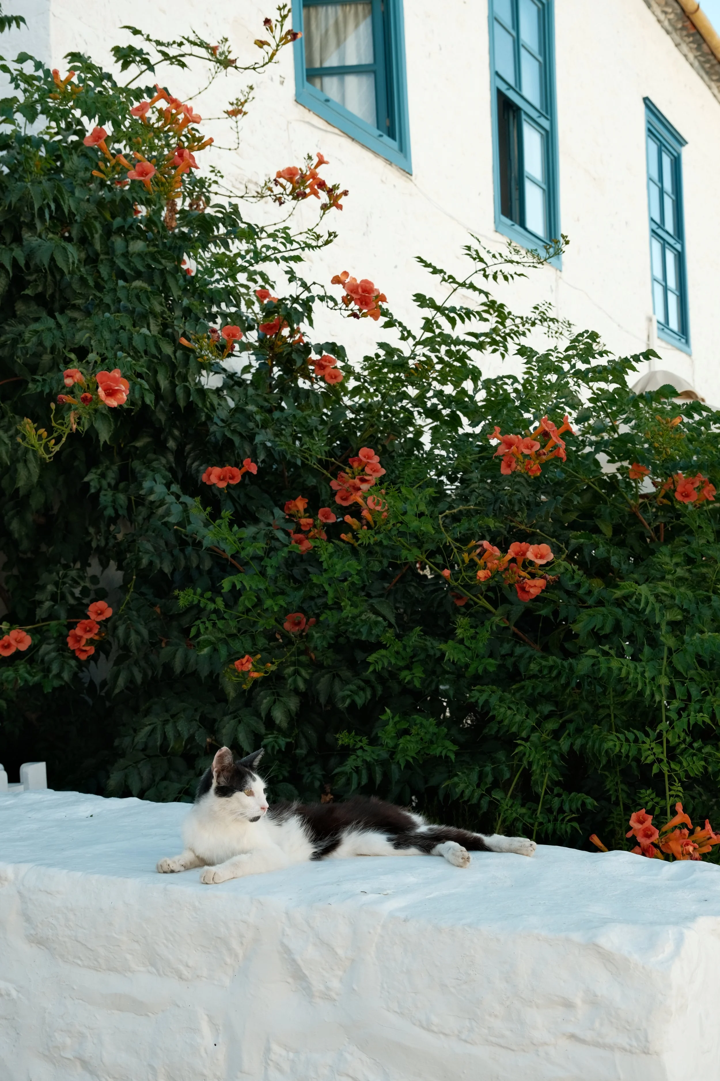 DSCF1634.JPG
