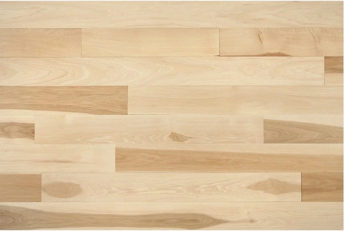 Image 8-3-25 at 10.08 PM.jpeg