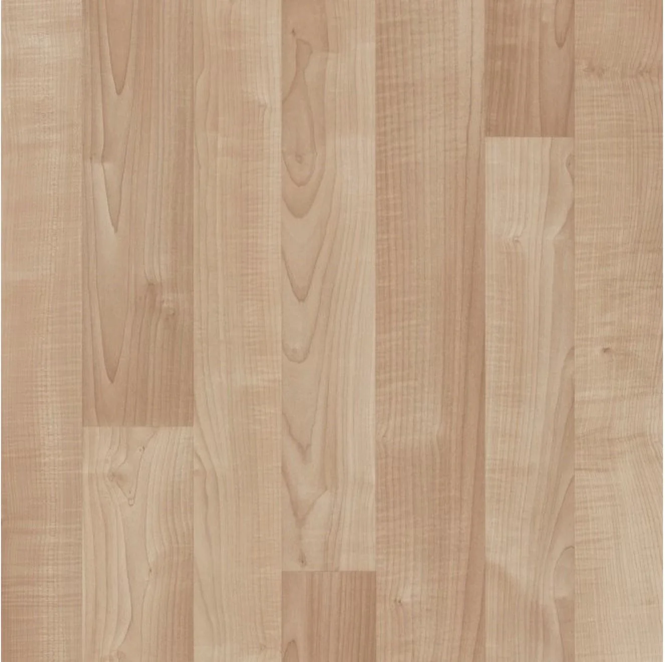 Image 8-3-25 at 10.12 PM.jpeg