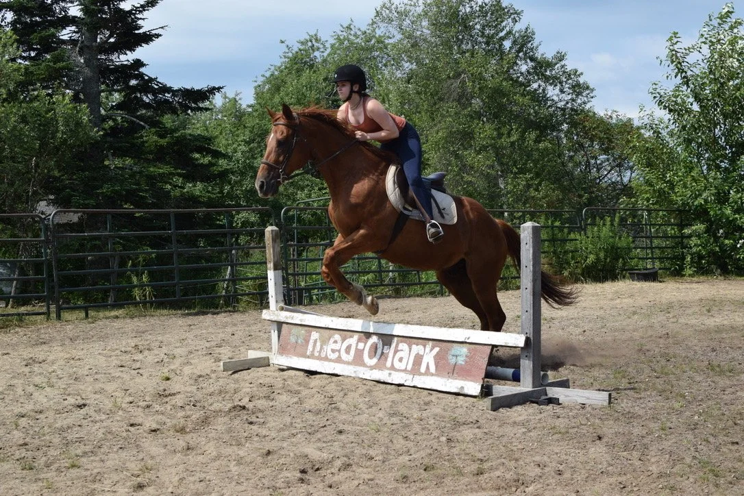 Recreation - Equestrian - Jumping 3.jpeg