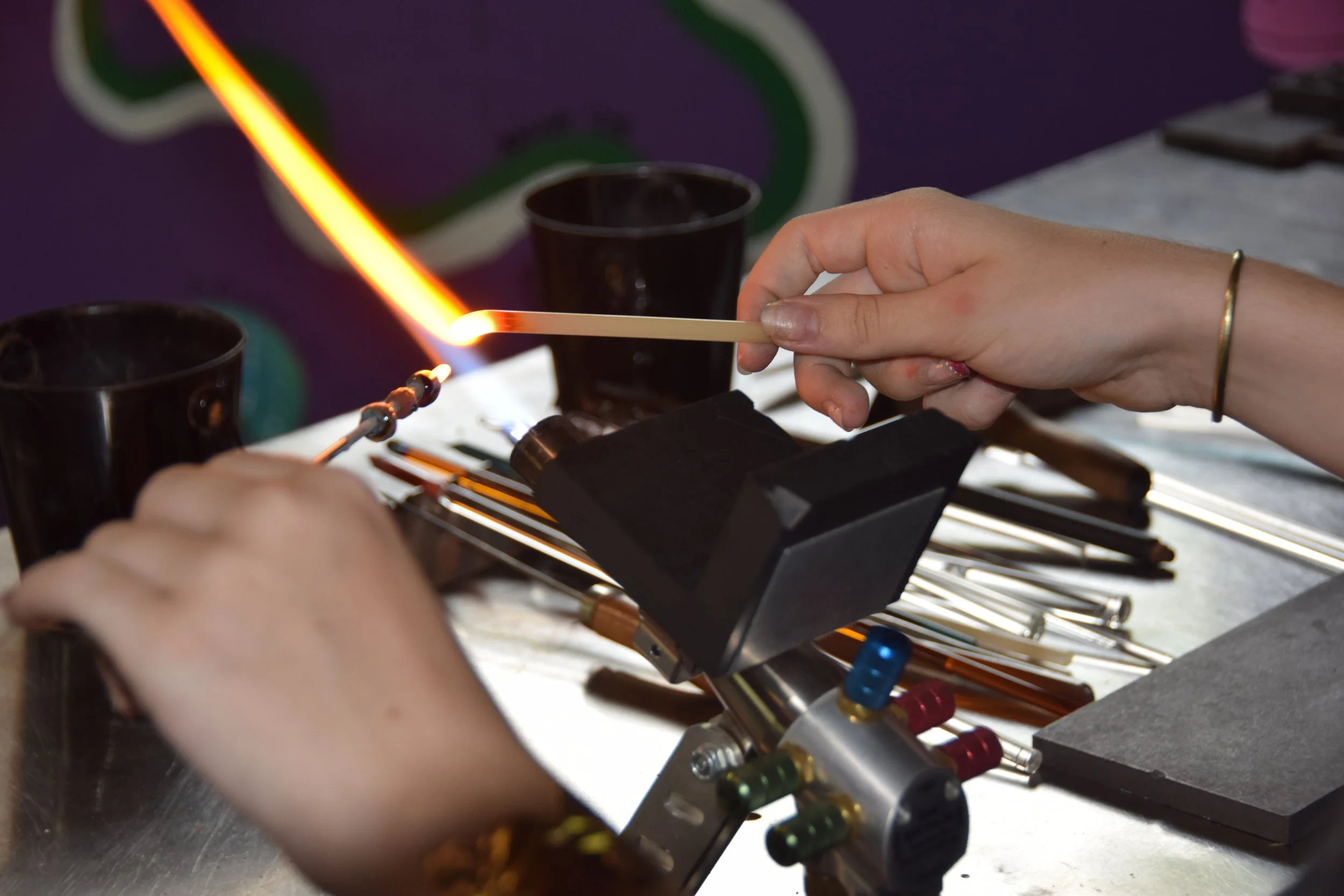 Cópia de DSC_0503.JPG