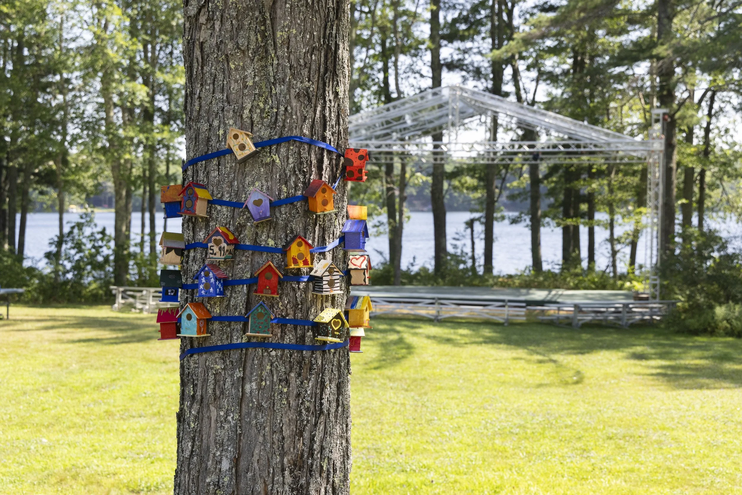 Bird House.jpg