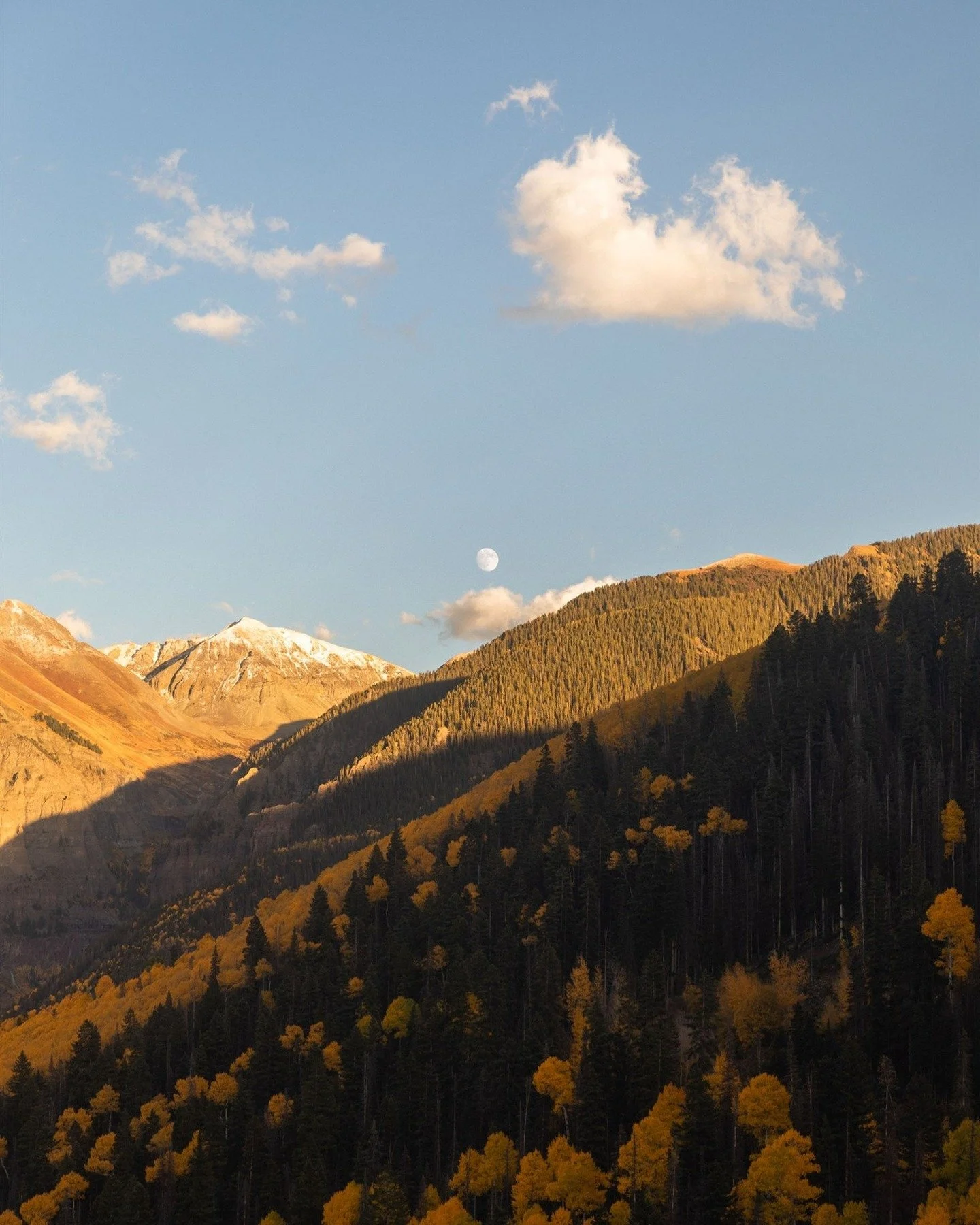 What a year 🥹 So grateful for all the incredible projects, clients, brands, and friends I got to work with since starting Day Dream Studio. Feeling lucky, inspired, and excited for what 2026 brings. Let&rsquo;s create something together 💫