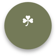 A four-leaf clover inside a dark green circle.