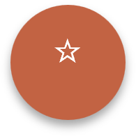 A brown circular object with a white star in the center.
