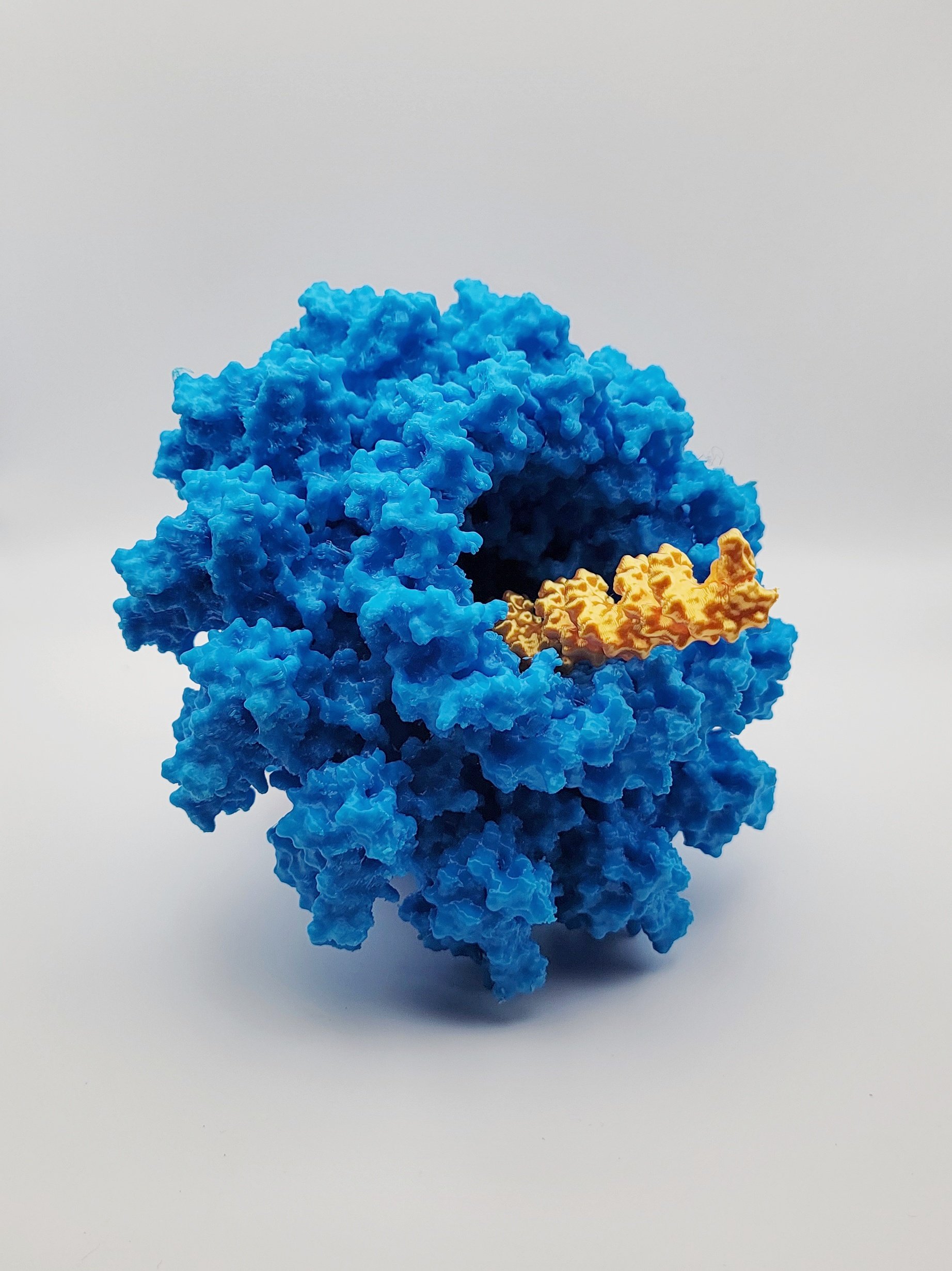 T4 Phage - Portal Complex with DNA