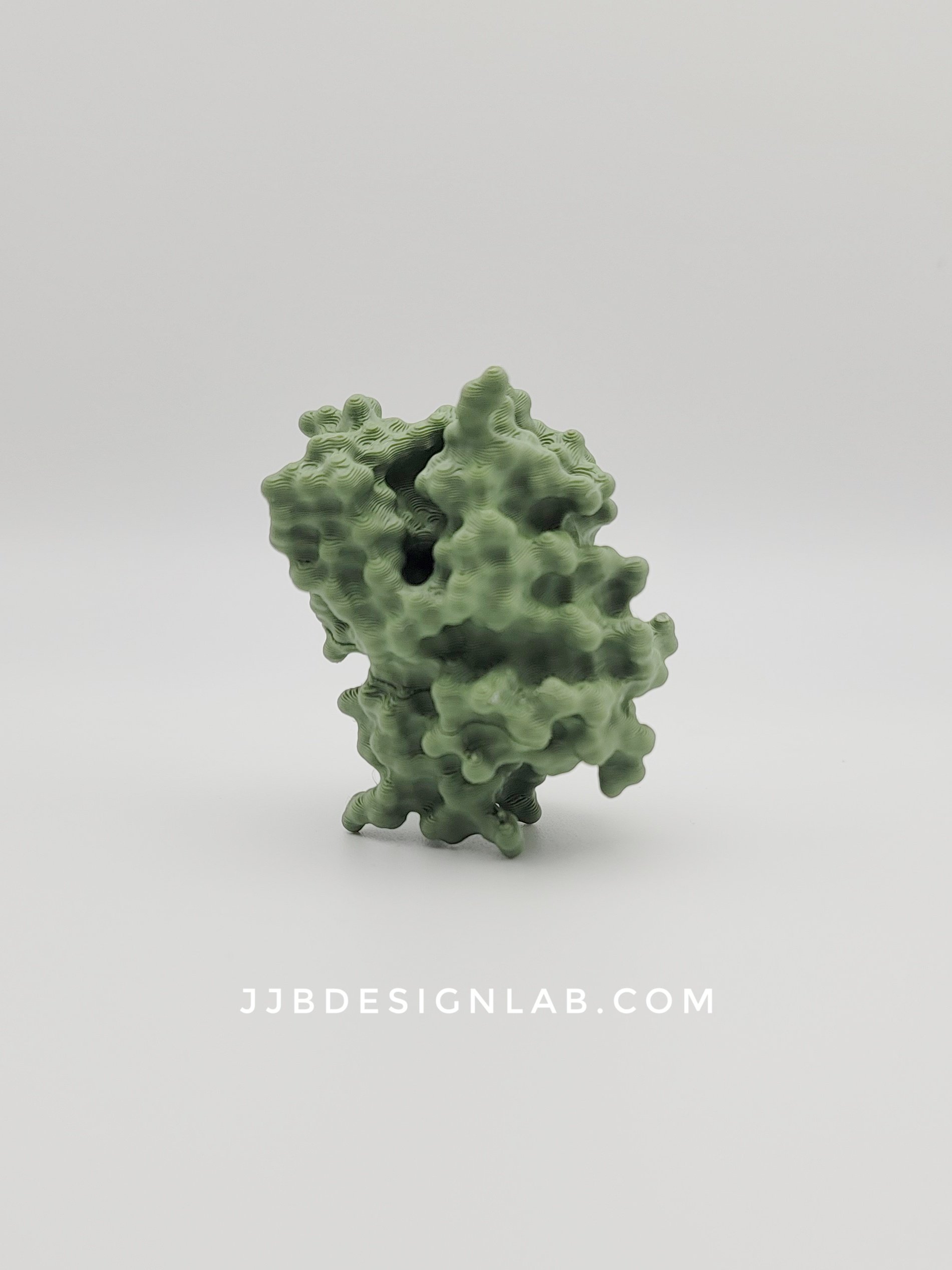 Green Fluorescent Protein (GFP)
