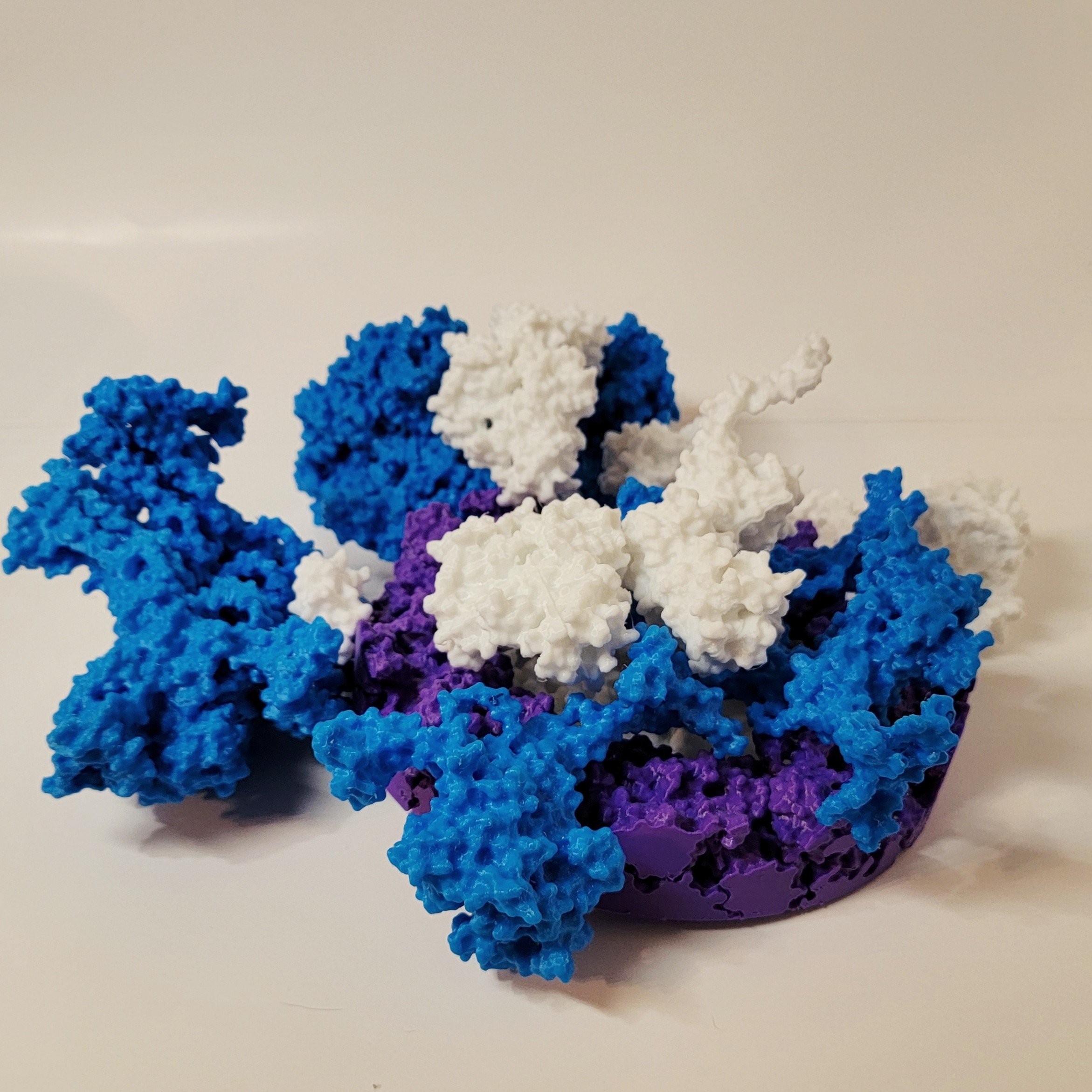 T4 portal + entropy. Flexible and assembly models can be made!