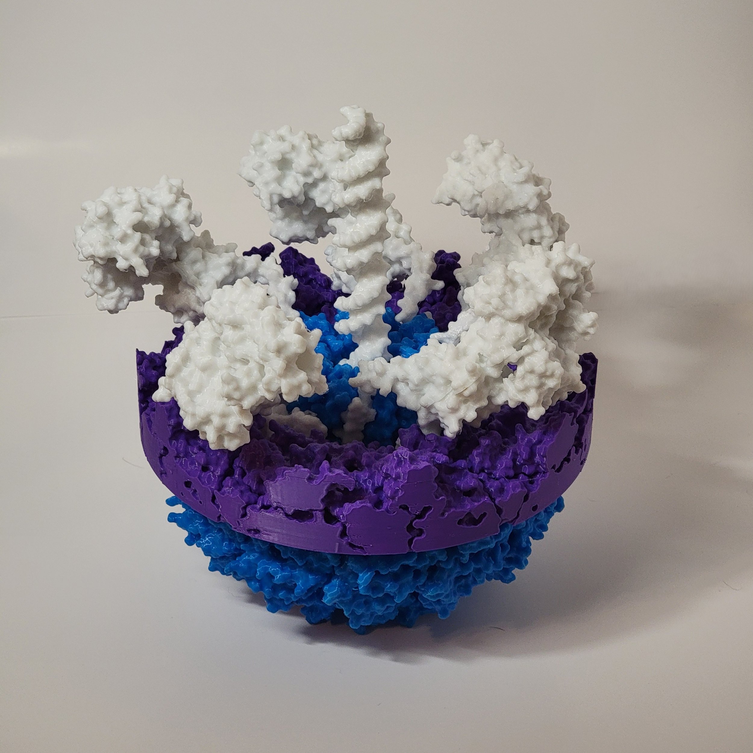 T4 Portal Complex with gp17 DNA packing motors (white), DNA (white) and capsomer (purple)