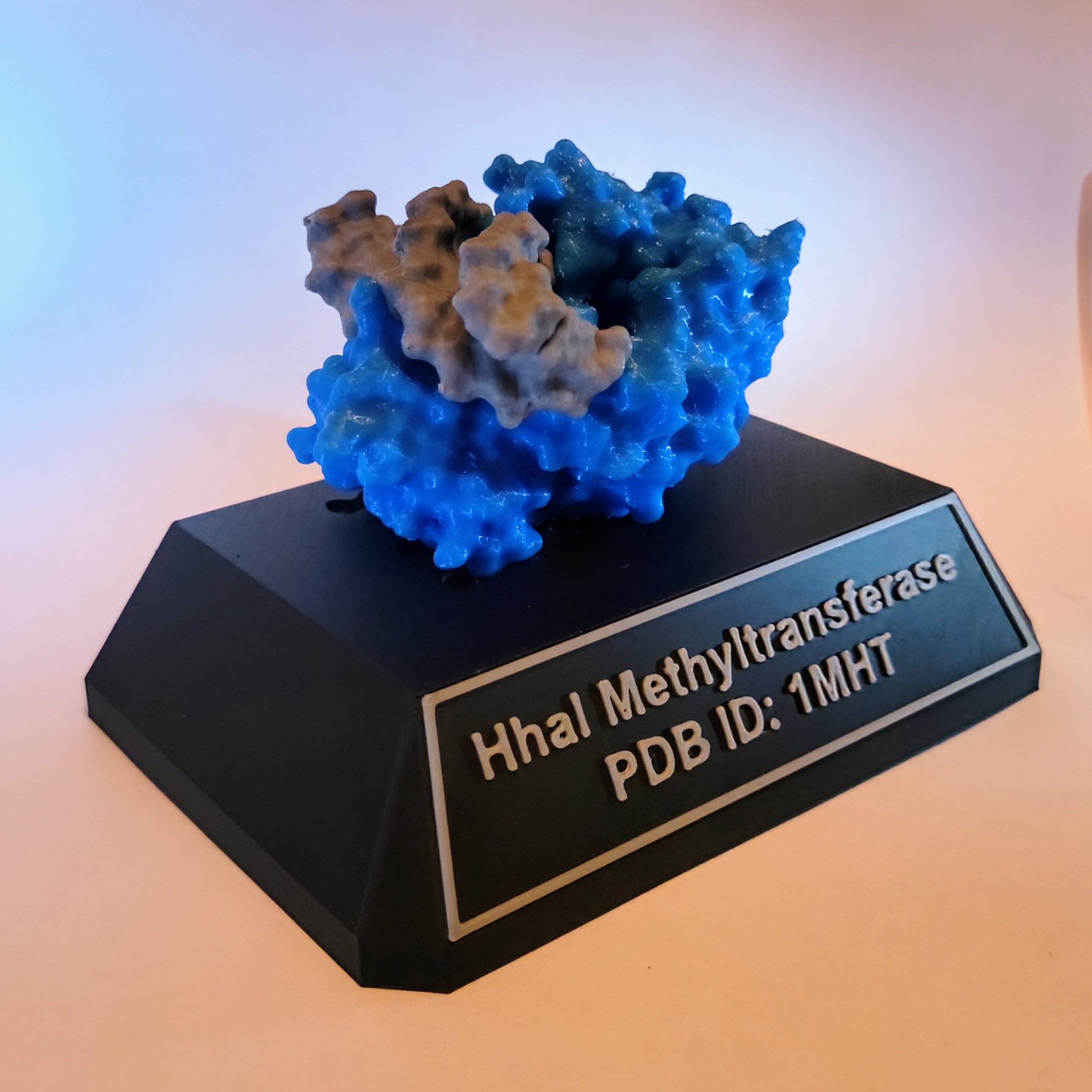 HhaI Methyltransferase (with removable DNA)