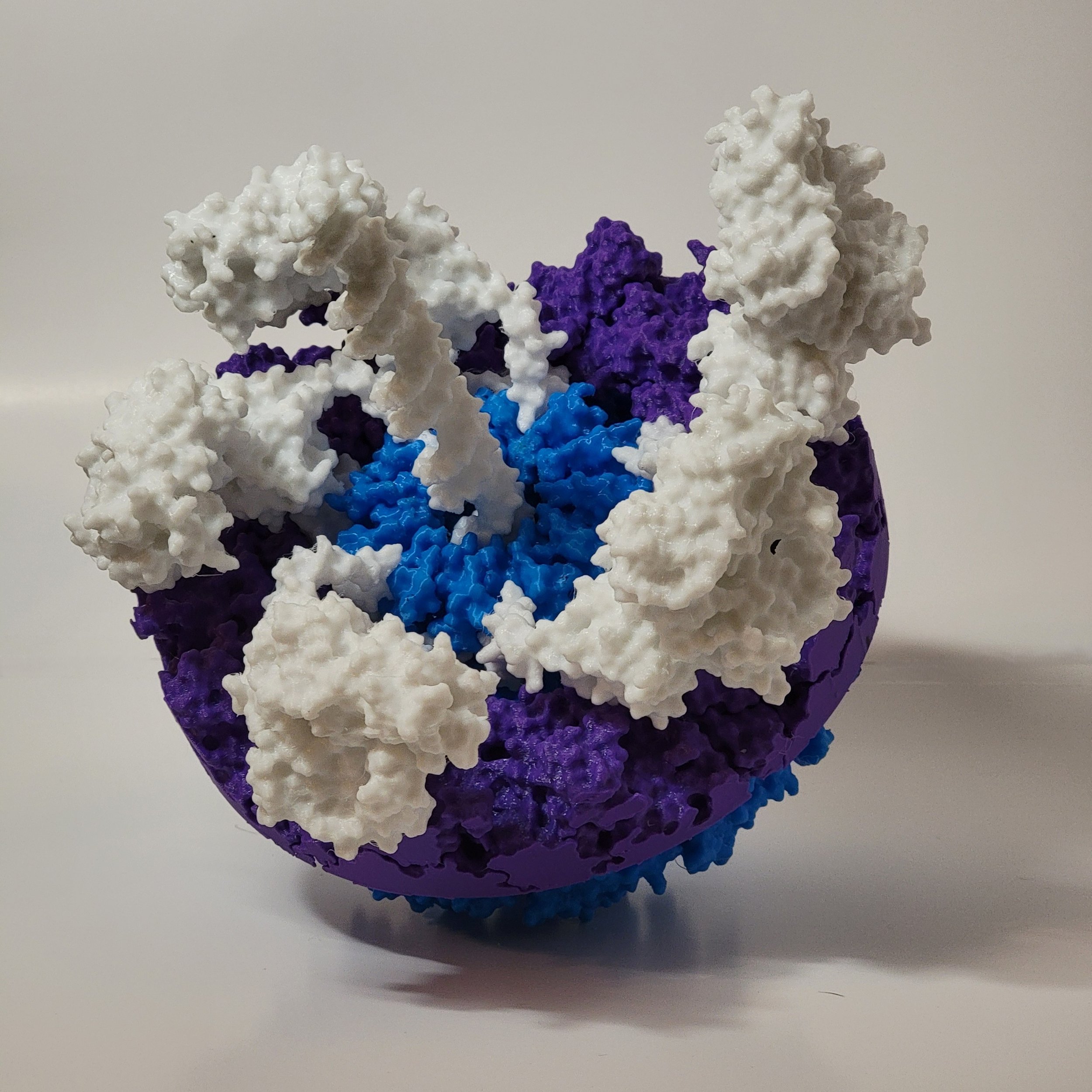 T4 Portal Complex with gp17 DNA packing motors (white), DNA (white) and capsomer (purple)