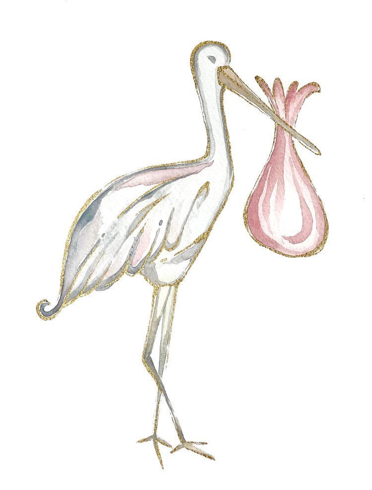 PINK+Stork+PRINT.jpg