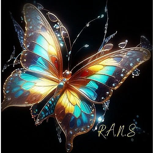 Reek's Apostille Notary Services