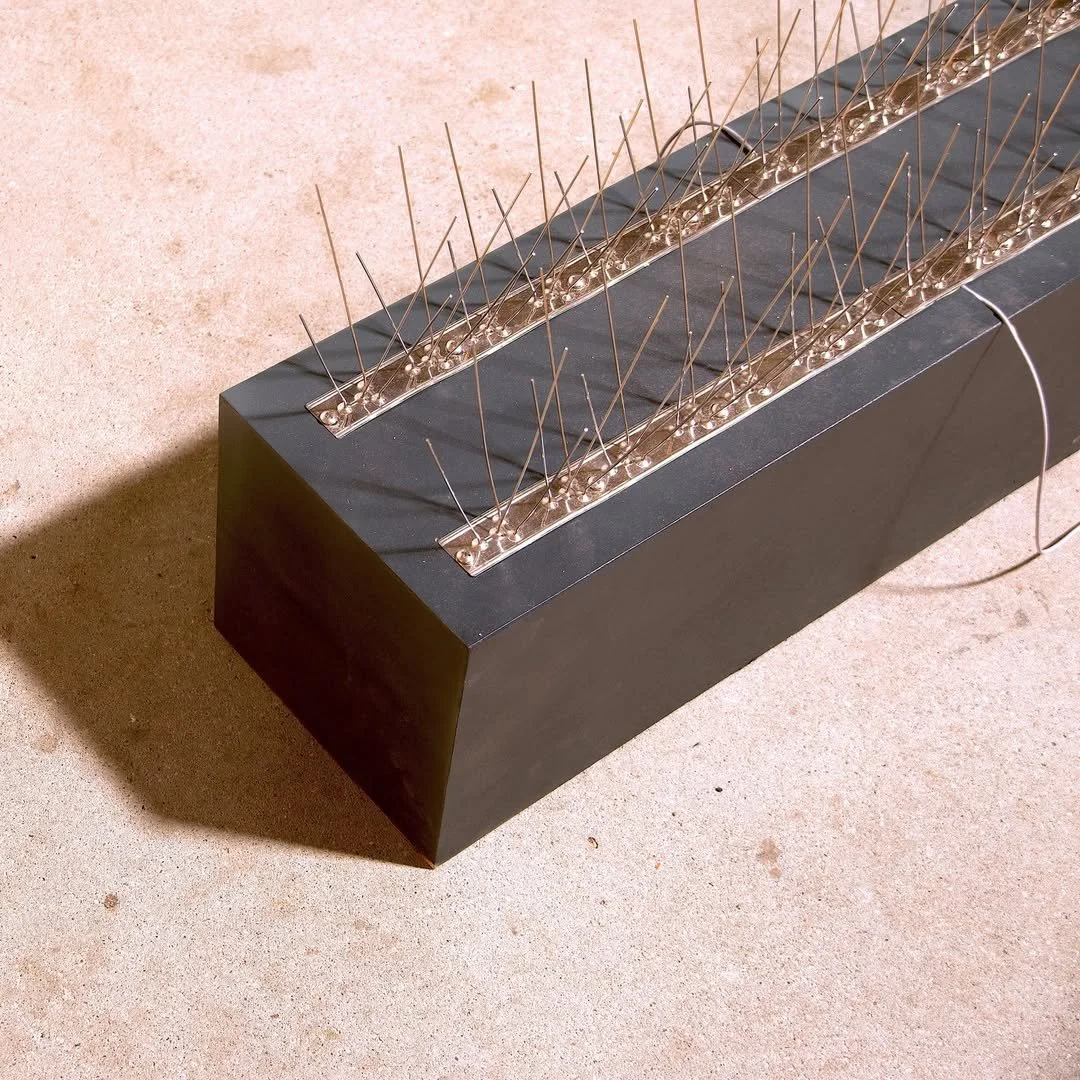 Installation / Birds on the Wire — Sensing Beyond, 48 Stunden Neukölln (CANK Berlin)