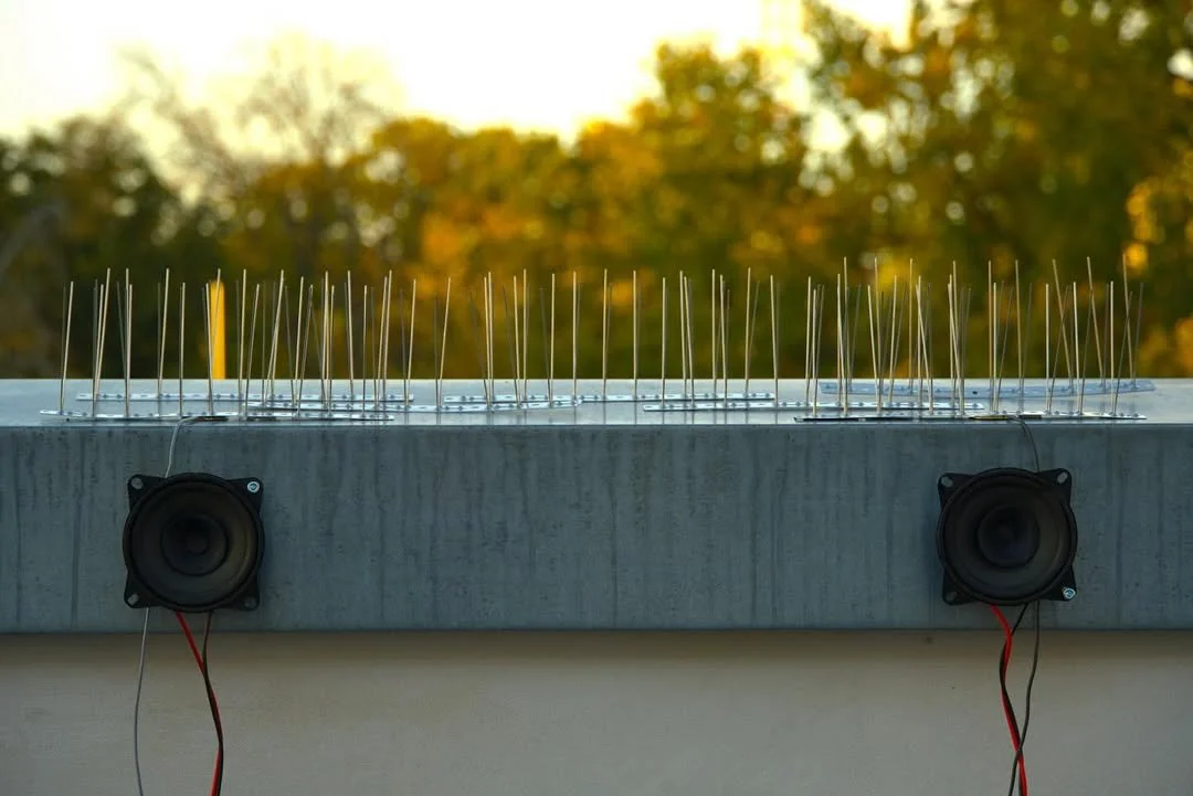 Installation / Birds on the Wire #2 – Air” in the Berlin Landscape