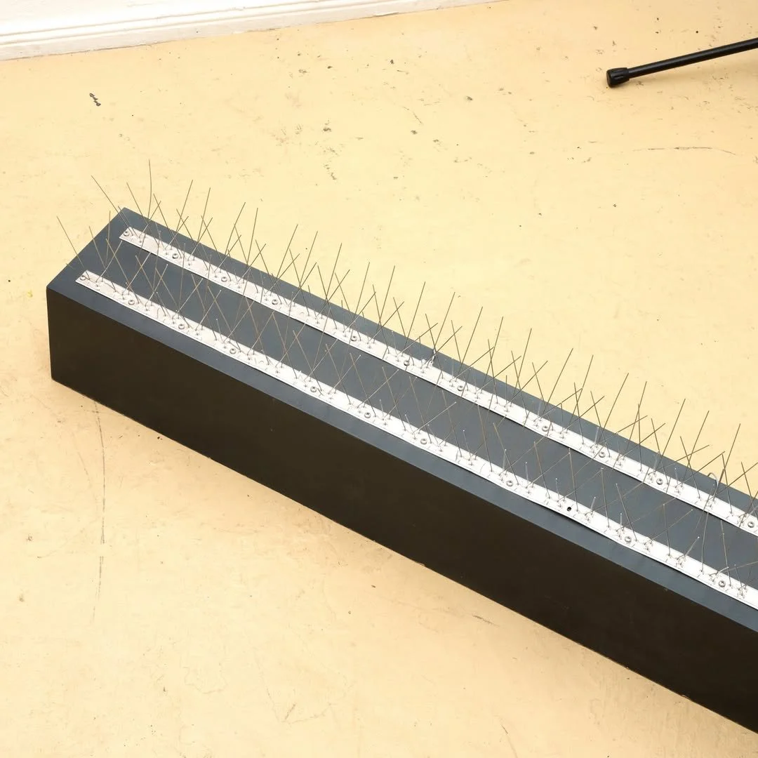 Update / Birds on the Wire at Zwitschermaschine