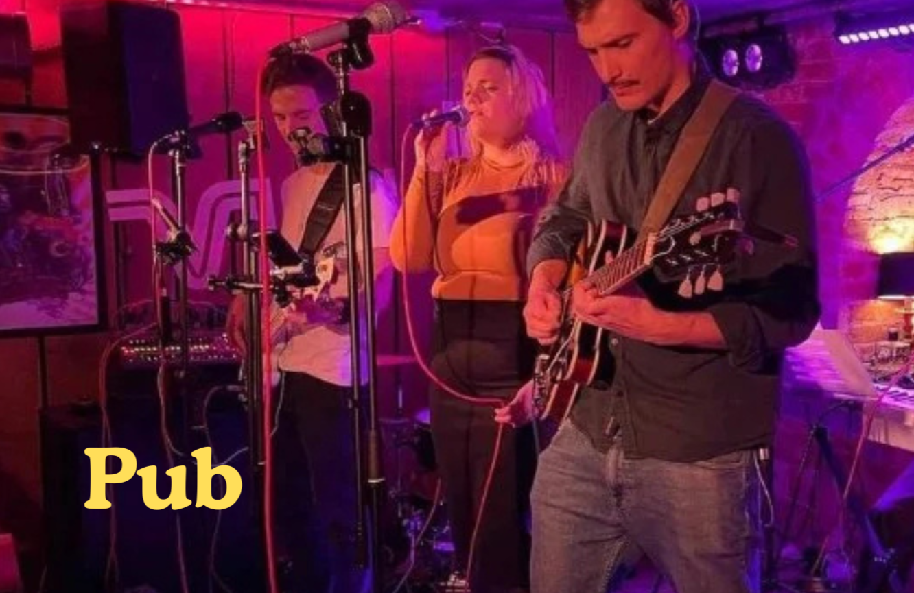 Tre musiker som spelar på scenen på en pub, med en kvinna som sjunger och två män som spelar gitarr. Ordet 'Pub' är skrivet i gult i det nedre vänstra hörnet.
