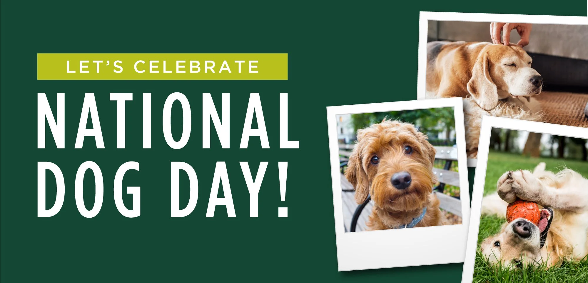 National Dog Appreciation Day
