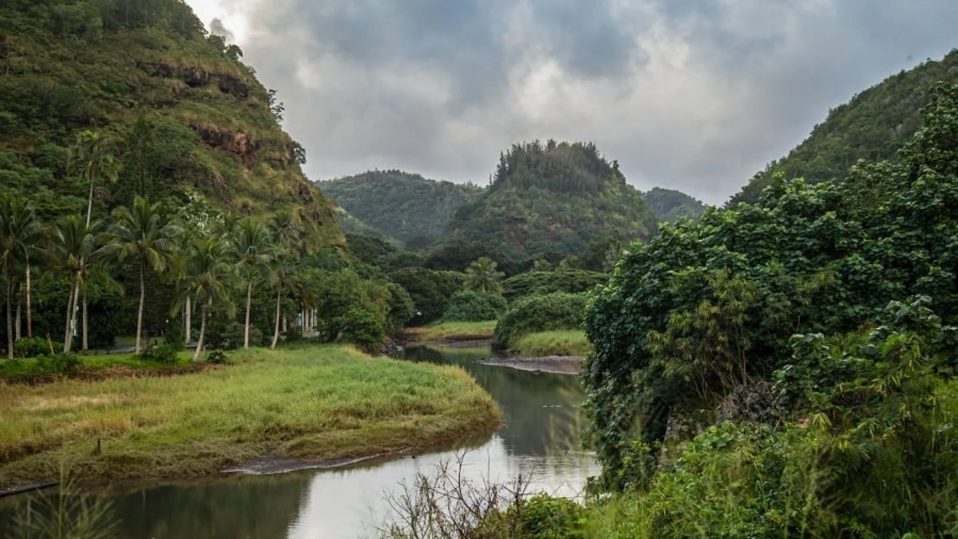 Waimea
