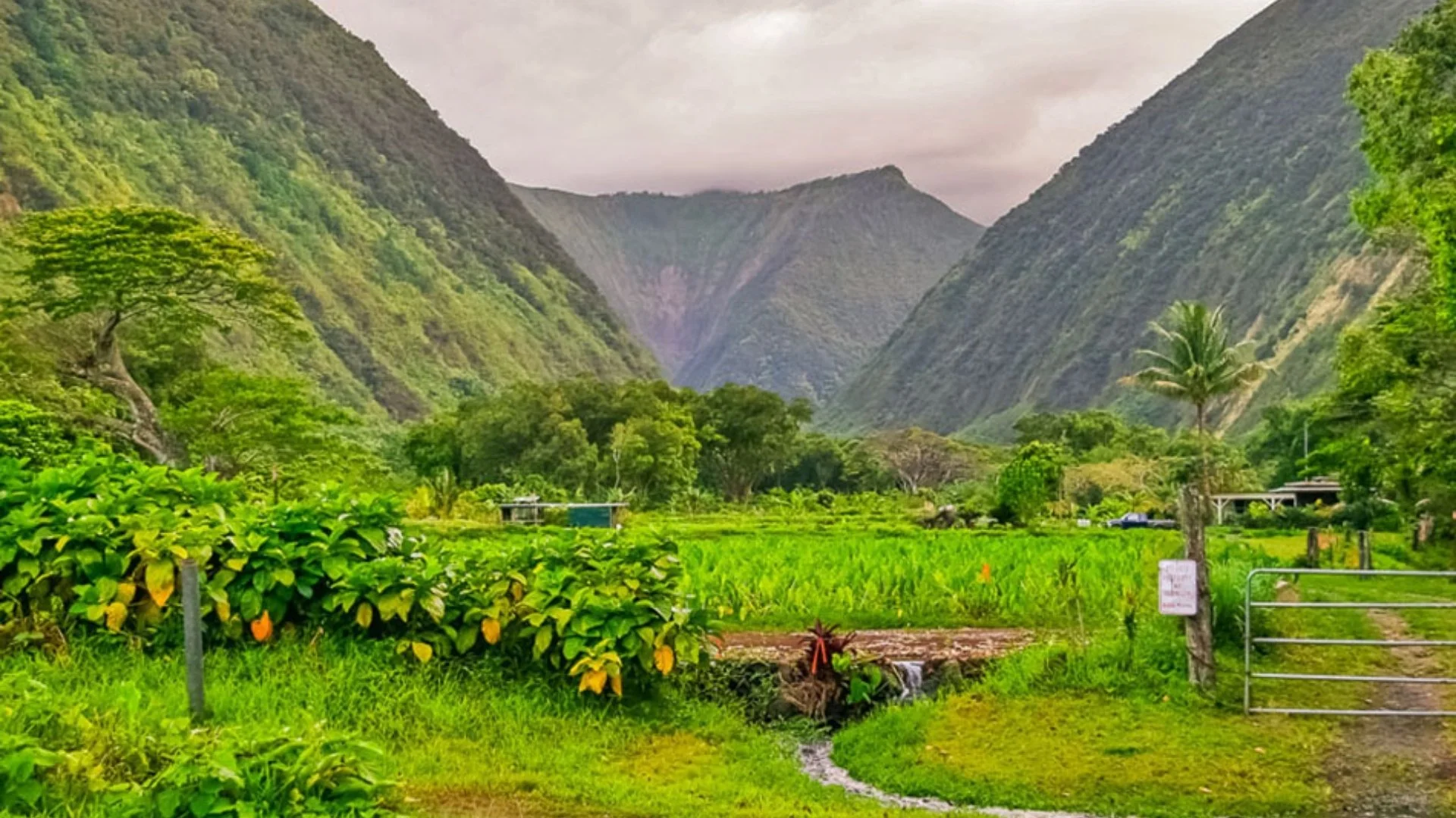 Waipi'o Valley