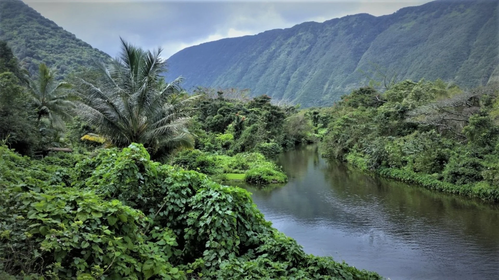Waipi'o Valley