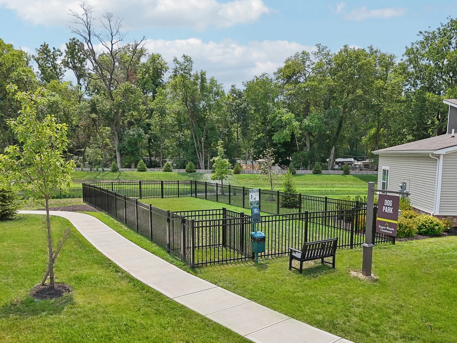 DogPark.jpg