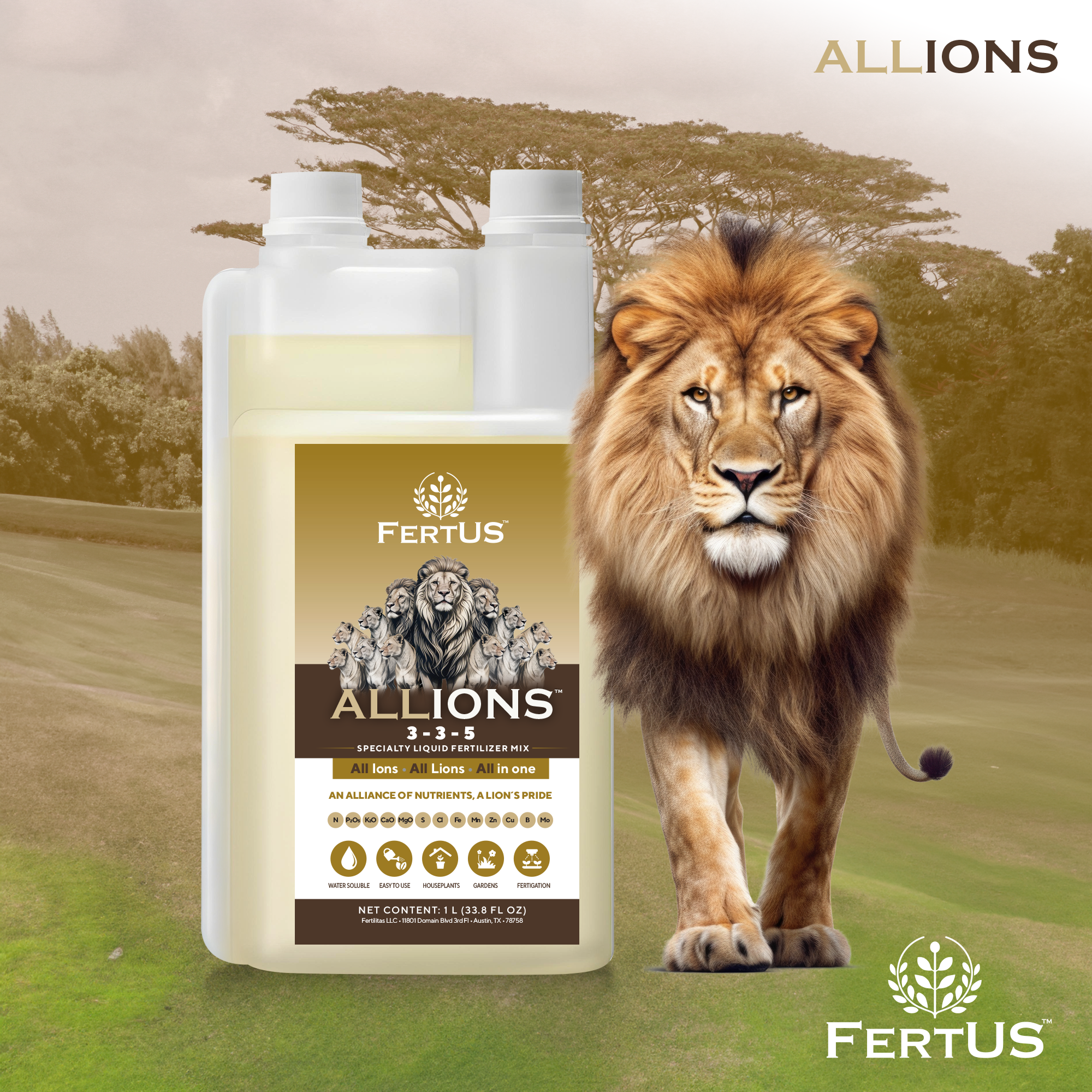 ALLIONS-FERTUS-ING-2.png