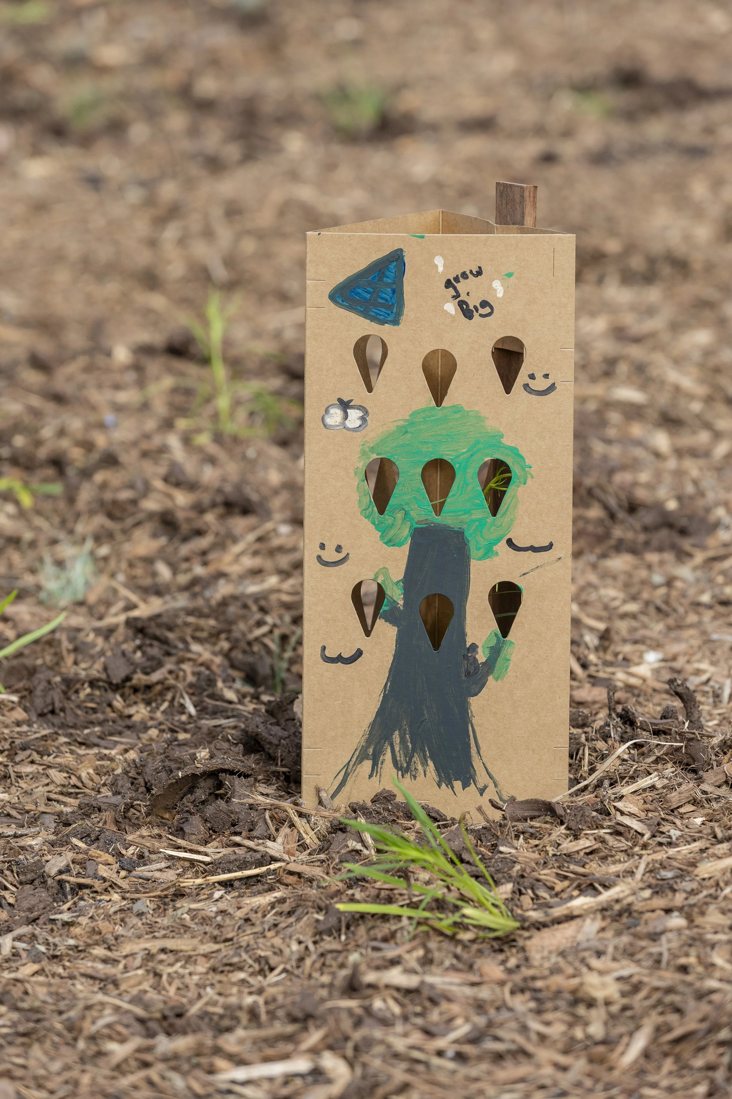 MVCC 2026_Tree Planting_0235 (1).jpg
