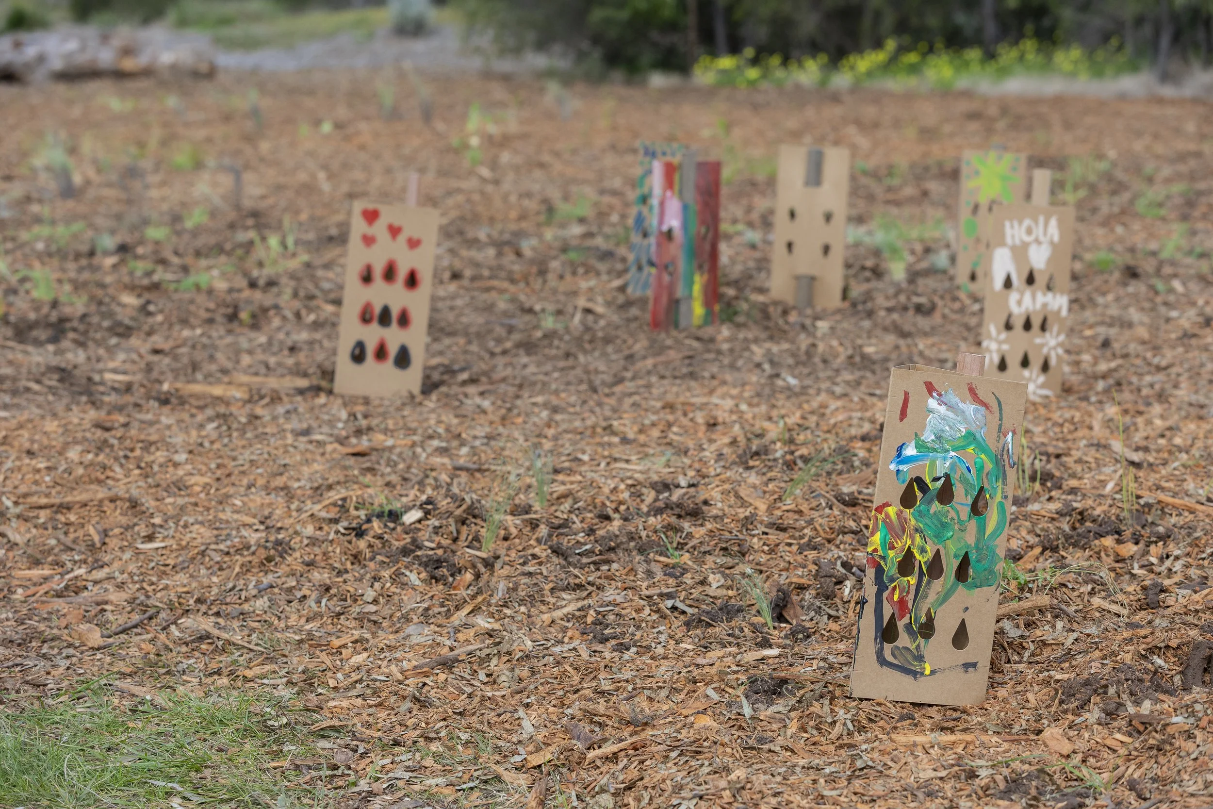 MVCC 2026_Tree Planting_0236.jpg