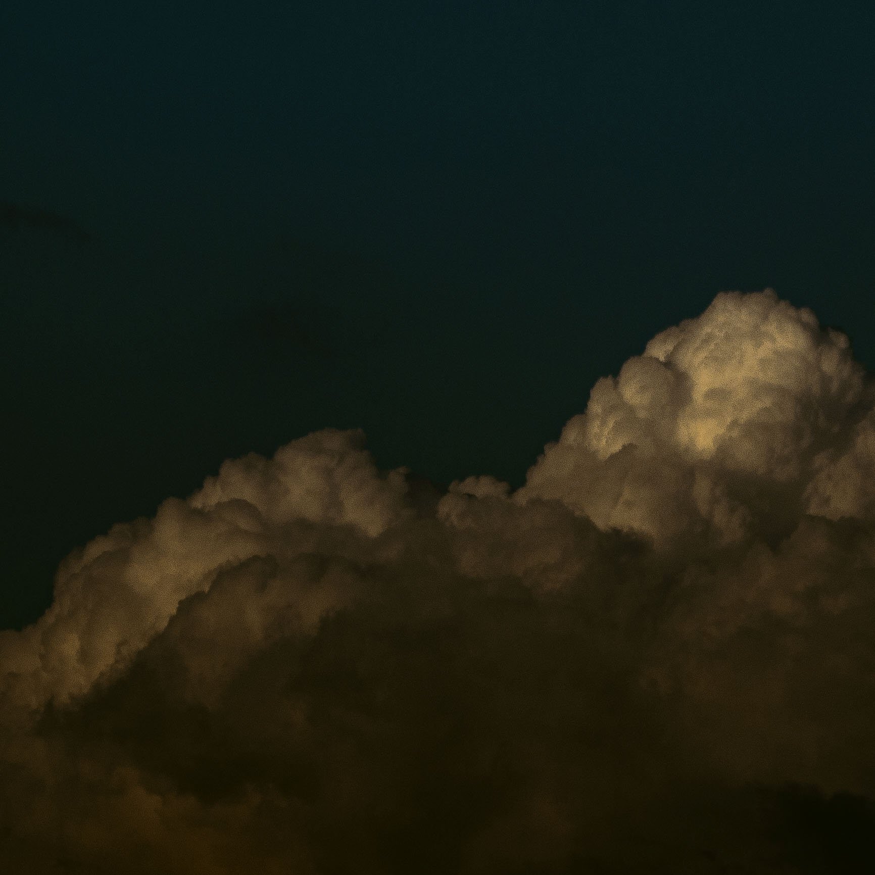 2026 YEAR OF THE HORSE