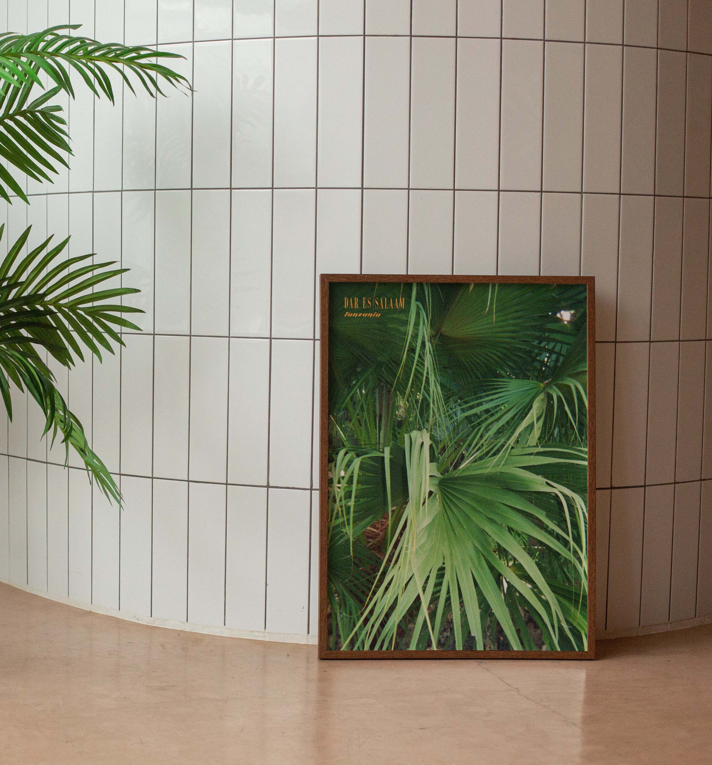 pexels-monstera-6373479 2.jpg