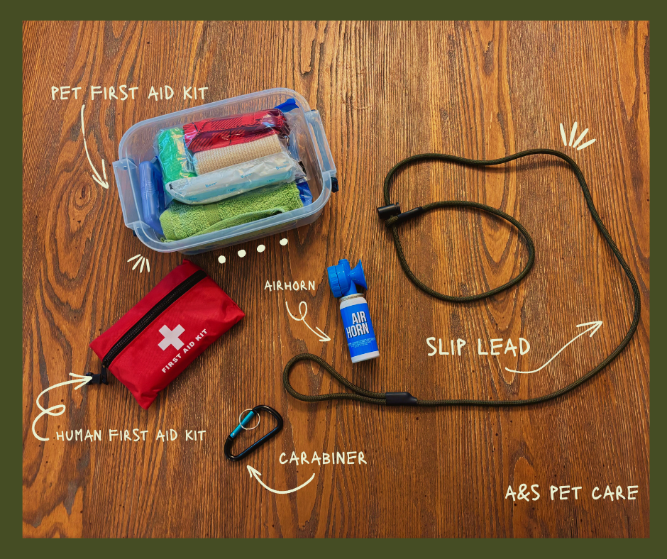 Updated Safety Protocols at A&amp;S Pet Care: Luna's Story